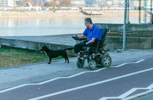 Zasady podróży z psem asystującym