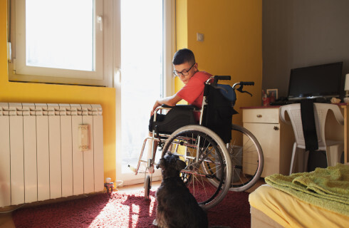 niepelnosprawne dziecko na wozku pies