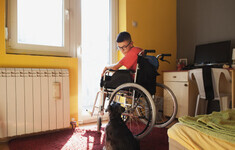 niepelnosprawne dziecko na wozku pies