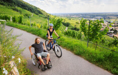 niepelnosprawny na wozku rower