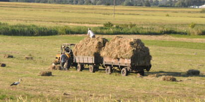 rolnictwo traktor pole