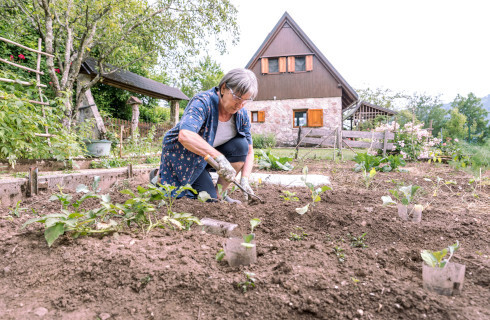 Lex "silos" wchodzi w życie, będzie wolna amerykanka na budowach