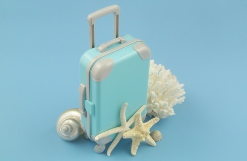 walizka rozgwiazda koralowiec muszla
