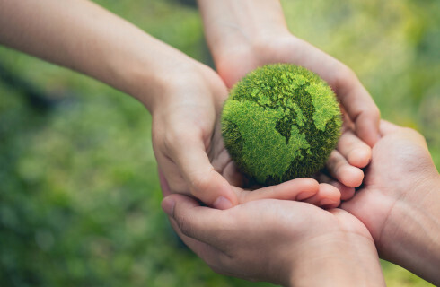 srodowisko zielony swiat ziemia dlonie