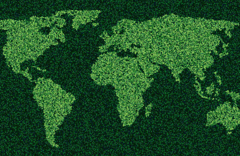 srodowisko zielony ekologiczny swiat ziemia