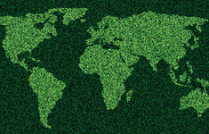 srodowisko zielony ekologiczny swiat ziemia