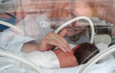 dziecko niemowlak inkubator