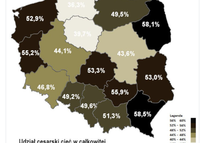 cesarskie ciecia 2024 duze