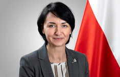 henryka moscicka dendys