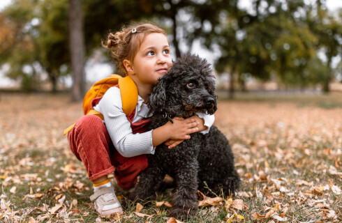 dziecko dziewczynka pies pudel