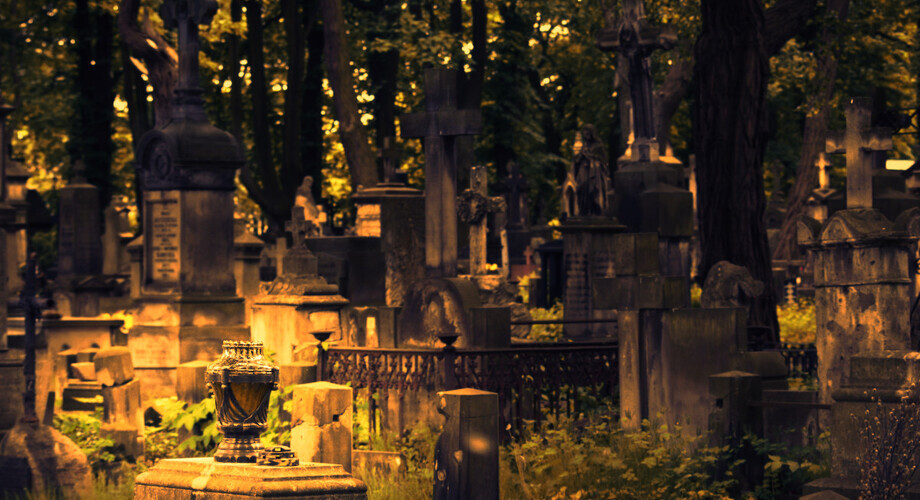 cmentarz groby pomniki