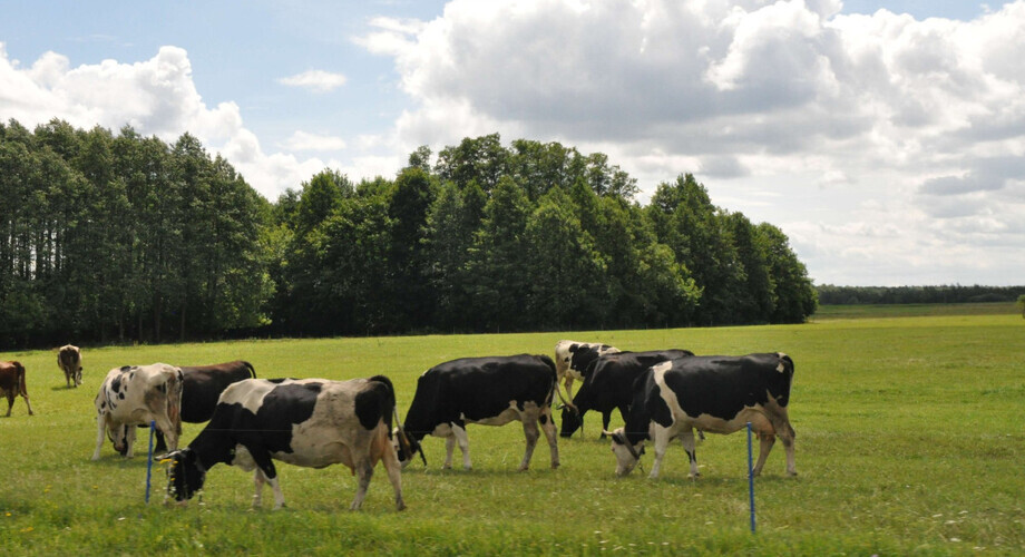 Członkowie wspólnot gruntownych mogą wnioskować o odszkodowanie