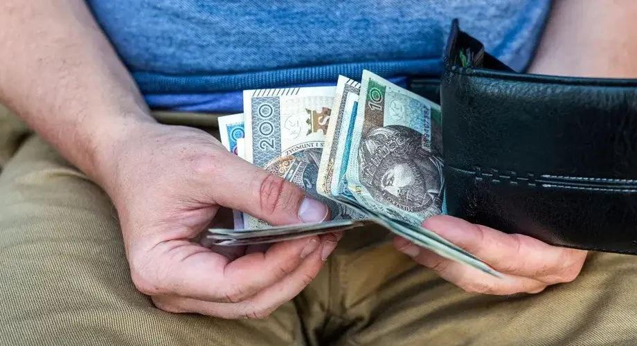 Zlotowki Banknoty Portfel Rece