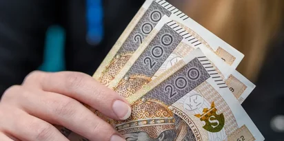 Zlotowki Banknoty Portfel Reka