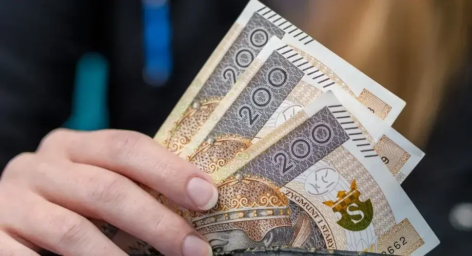 Zlotowki Banknoty Portfel Reka