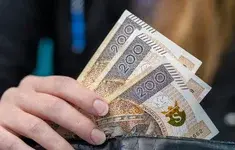 Zlotowki Banknoty Portfel Reka