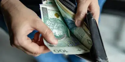 Zlotowki Banknoty Portfel Rece