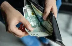 Zlotowki Banknoty Portfel Rece