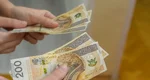 Zlotowki Banknoty Rece