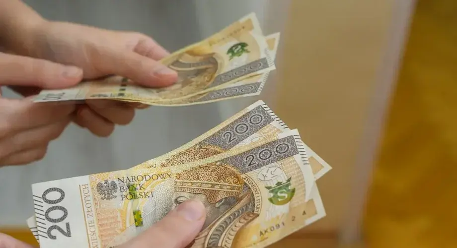 Zlotowki Banknoty Rece