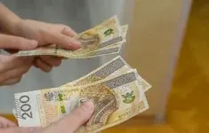 Zlotowki Banknoty Rece