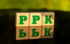PPK