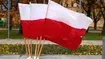 flaga polska