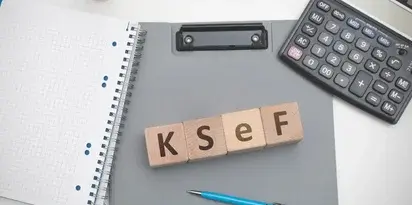 KSEF Okulary Roslinka Kalkulator