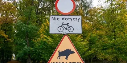 Znak drogowy Zakaz wjazdu Uwaga dziki