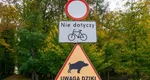 Znak drogowy Zakaz wjazdu Uwaga dziki
