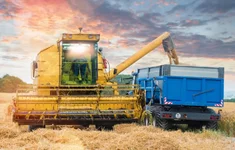 Rolnictwo Pole Kombajn Ciezarowka