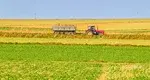 Rolnictwo Pole Wykopki Ziemniaki Ciagnik Traktor Przyczepa