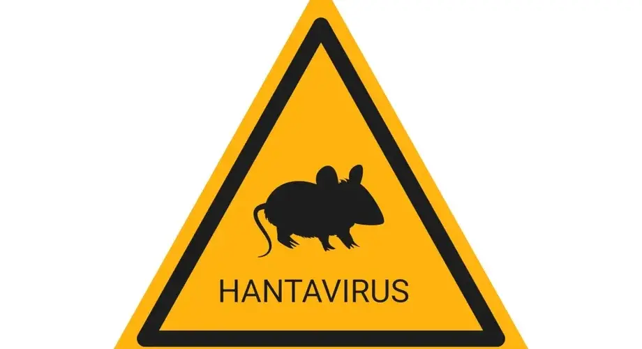 Hantawirus Szczurek Znak