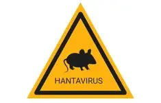 Hantawirus Szczurek Znak