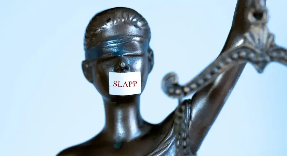Temida SLAPP