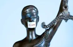 Temida SLAPP
